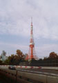 首都高速と東京タワー