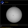 SOHO Sunspots