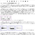 サヌカイト打楽器の振動解析と設計